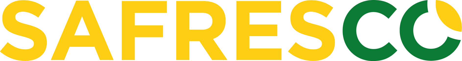 Stefanini Group Logo