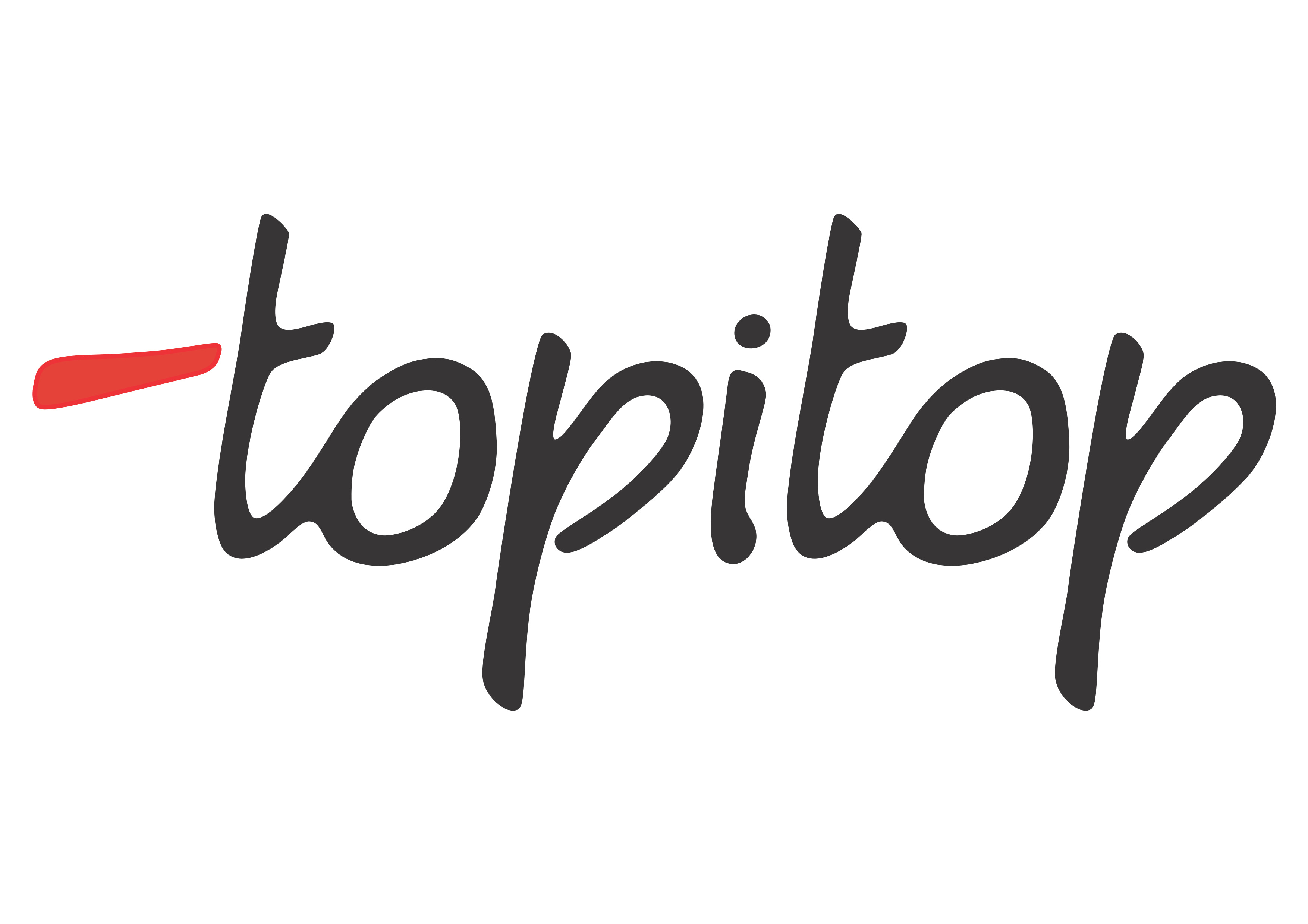 Stefanini Group Logo